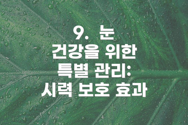 9.  눈 건강을 위한 특별 관리: 시력 보호 효과