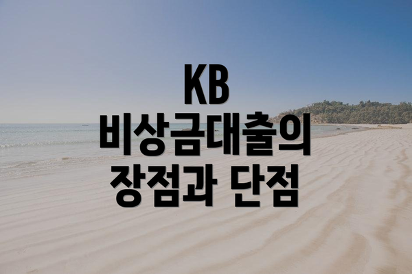 KB 비상금대출의 장점과 단점
